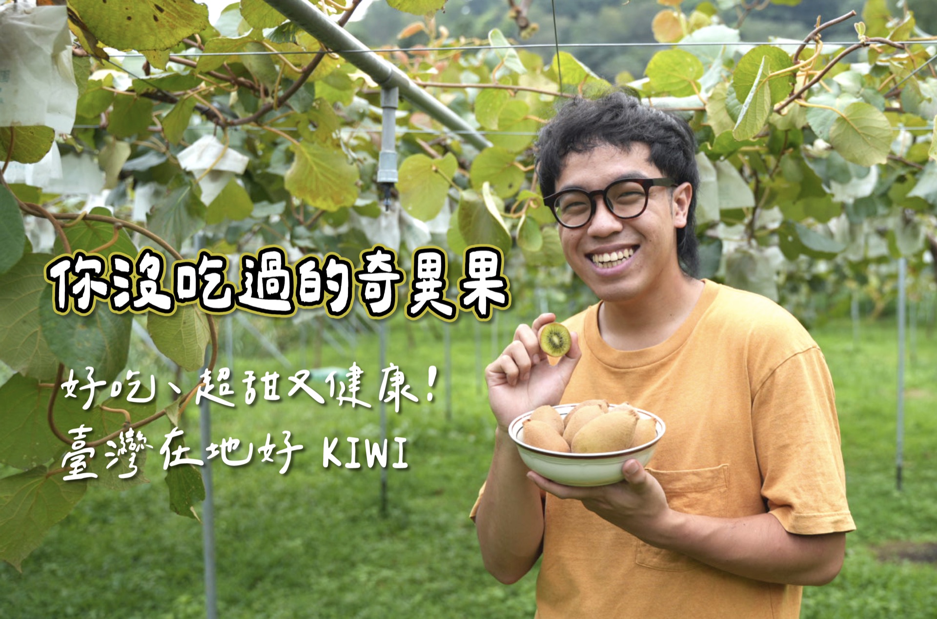 台灣奇異果產地風景照