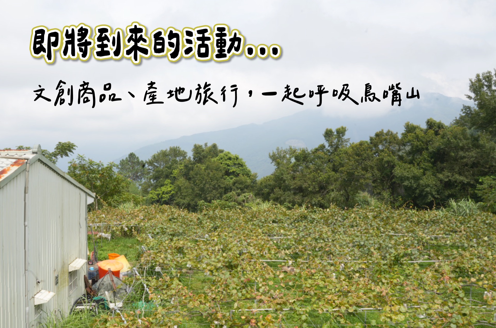 鳥嘴山活動風景照