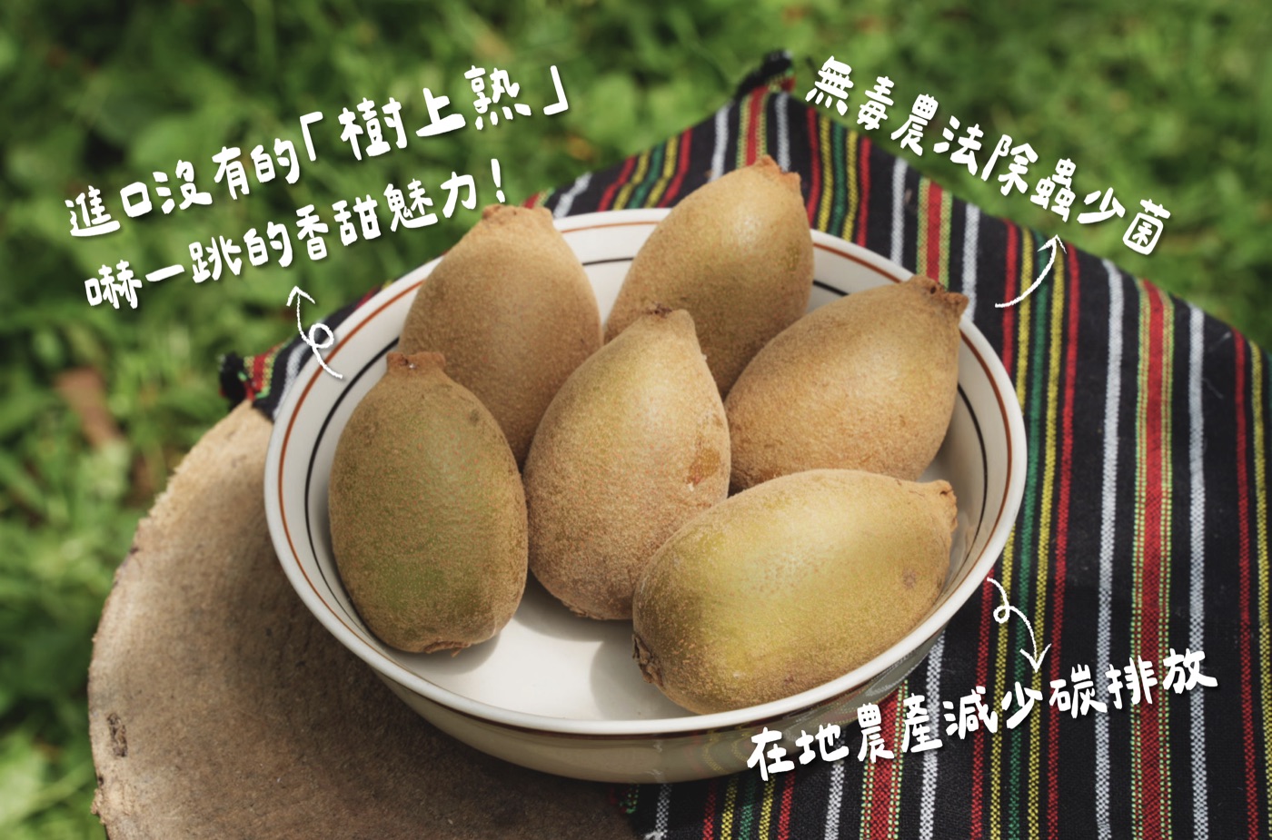 奇異果特色:進口沒有的樹上熟、無毒農法除蟲少菌、在地農產減少碳排放
